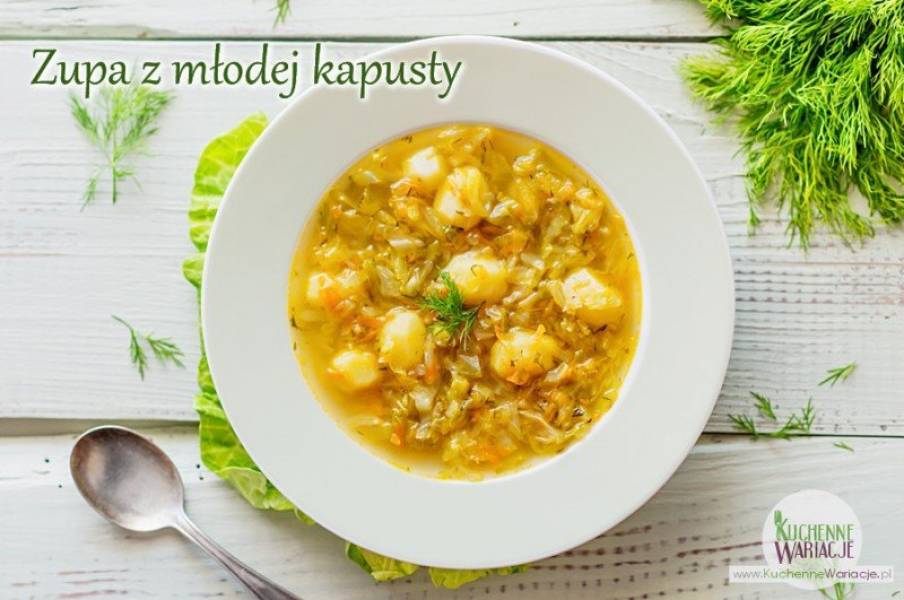 Zupa z młodej kapusty