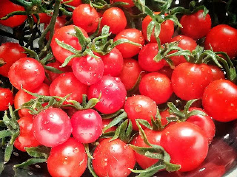 Short: Pomidory z własnego ogródka
