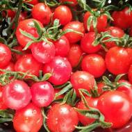 Short: Pomidory z własnego ogródka
