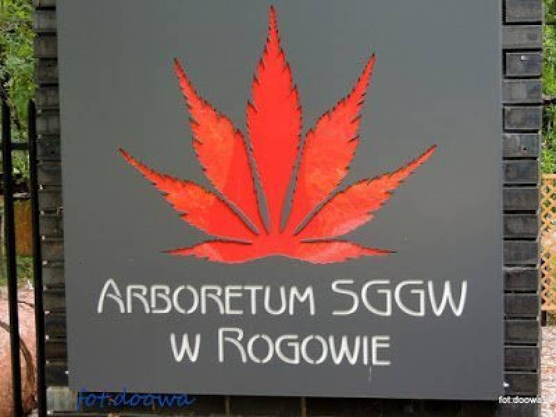 Arboretum SGGW w Rogowie