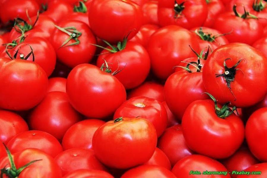 Prosty przecier pomidorowy ( bez długiego gotowania ).