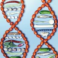 DNA prawdę powie – badania genetyczne drogą do zdrowia i dobrej kondycji