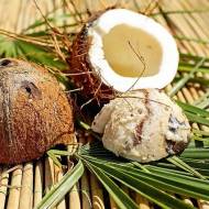 Kilka słów o oleju kokosowym.