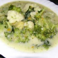 kalafiorowo-brokułowa zupa na mleku z makaronem...