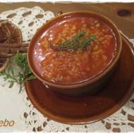 zupa pomidorowa z mięsem mielonym i ryżem