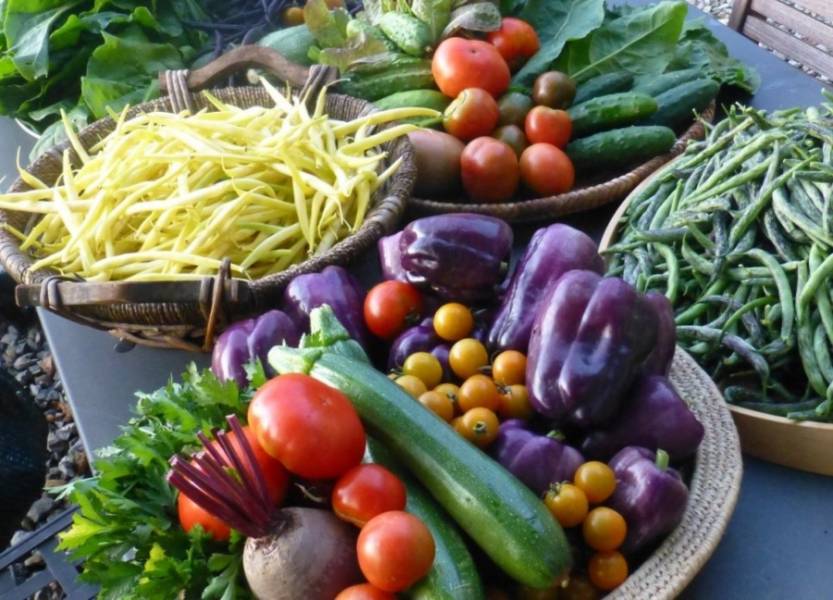 Jak przechowywać owoce i warzywa?