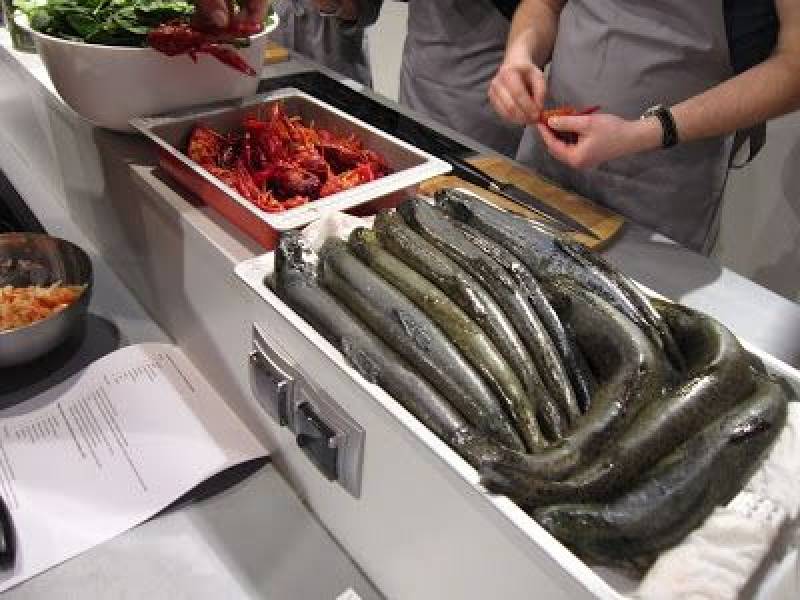 Warsztaty kulinarne ryby i owoce morza w Kulinarnych Kreacjach w Krakowie