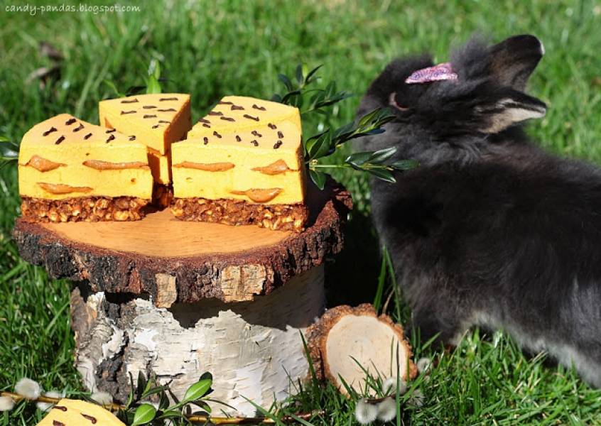 Sernik marchewkowo-orzechowy (bez glutenu, laktozy, cukru białego, bez pieczenia)