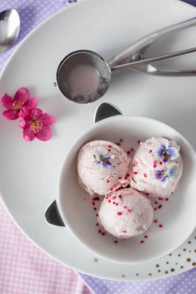Jogurtowe lody truskawkowo - malinowe (bez cukru)