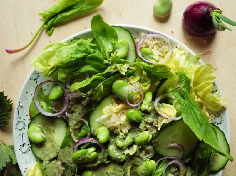 Zielona sałatka z quinoą, bobem i pokrzywowym dressingiem
