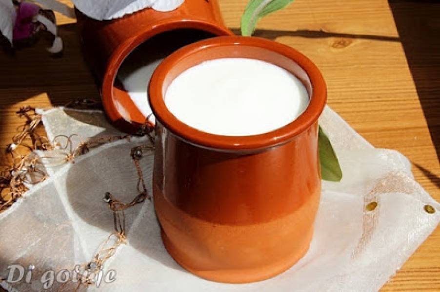 Jogurt domowy w 10 minut (z mleka zwierzęcego lub roślinnego)