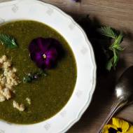 Zupa z wiosennej zieleniny i quinoy
