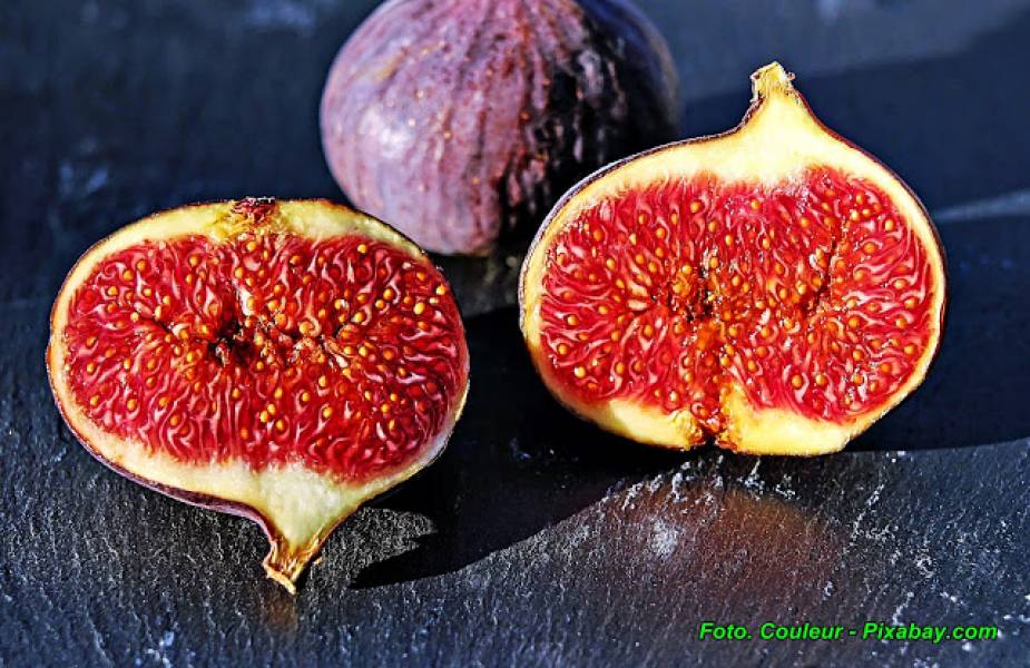 Nalewka figowa ( ze świeżych owoców ).