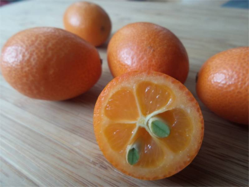 Kumkwat, czyli złota pomarańcza. Jak jeść?