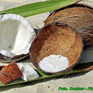 Nalewka kokosowa ( z dodatkiem koniaku lub winiaku ).
