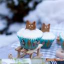 Kocie muffinki z jabłkami i lekką pianką (pełnoziarniste)