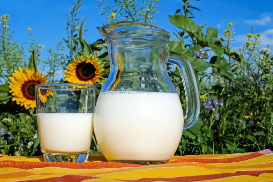 Nietolerancja laktozy i alergia na białko mleka krowiego