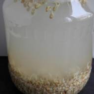 Rejuvelac - napój probiotyczny z kiełkowanych nasion