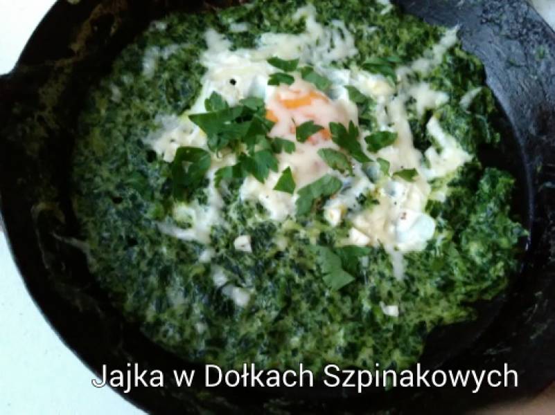 JAJKA W DOŁKACH SZPINAKOWYCH