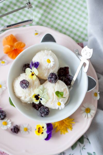 Lody jogurtowe z mlekiem (bez laktozy, bez jajek)