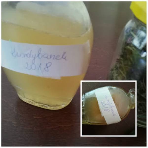 Syrop Jana III Sobieskiego