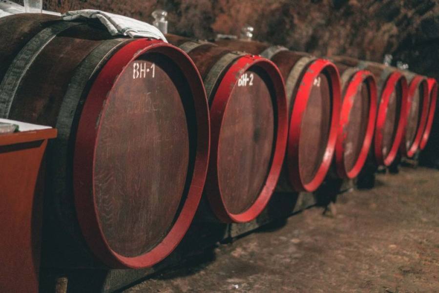 Winnice Tokaj – czyli jak kupić dobre wino