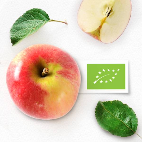 Zielony listek żywności ekologicznej na opakowaniu – czy wiesz co dokładnie oznacza?