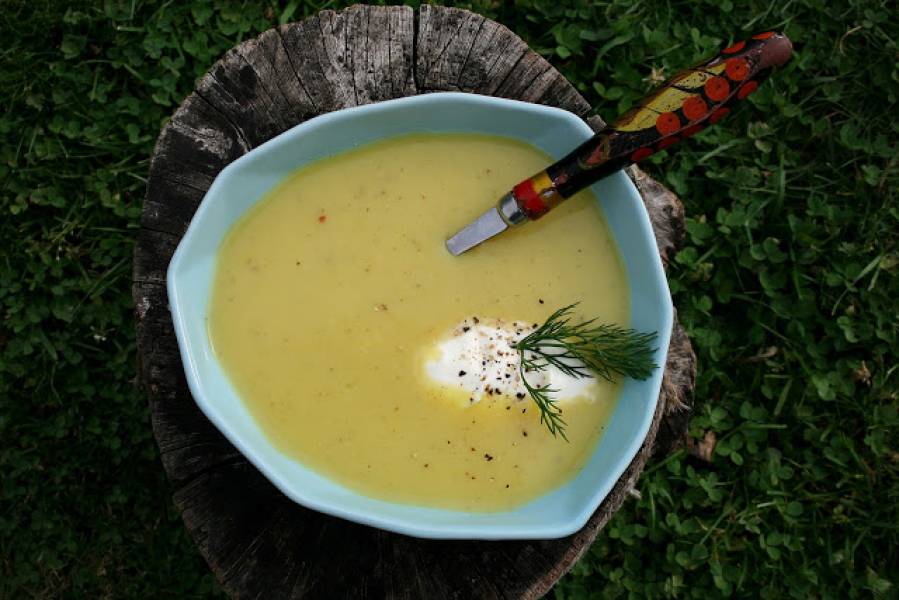 Zupa krem ziemniaczana z porem i cebulą