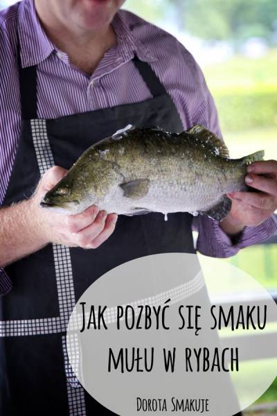 Jak pozbyć się smaku mułu w rybach