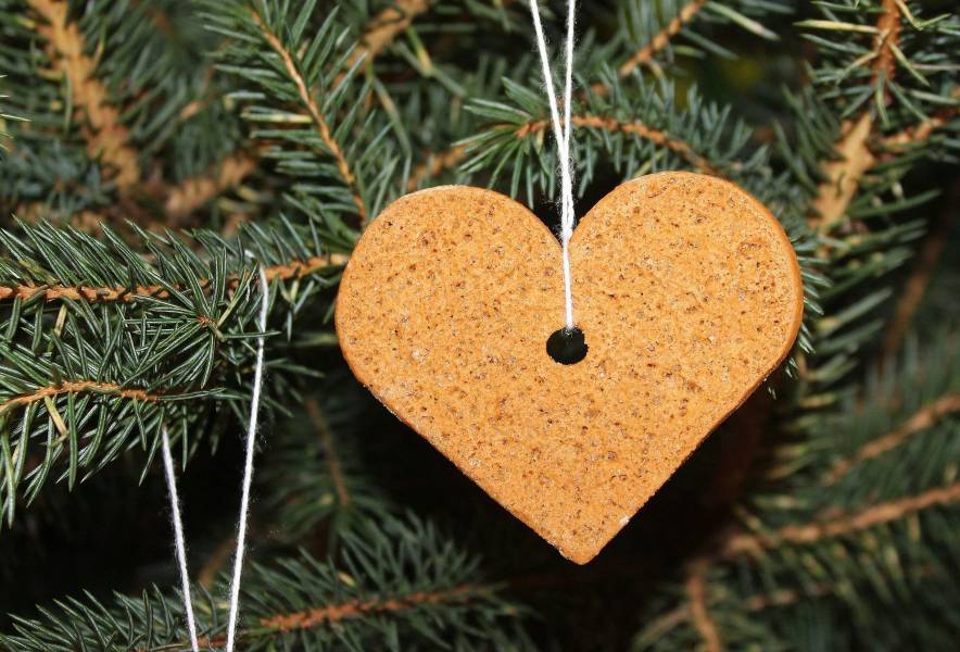 christmas gingerbread cookies