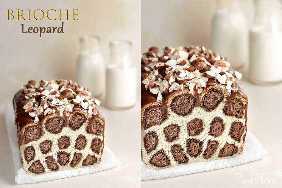 BRIOCHE LEOPARD