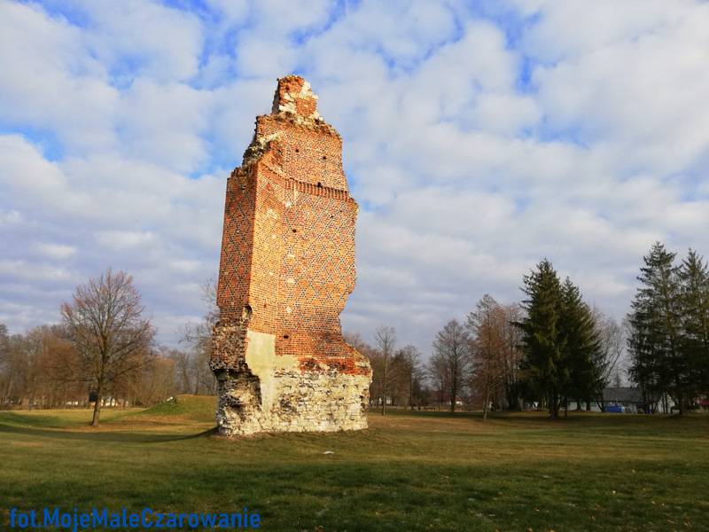 Ruiny gotyckiego Zamku z XV wieku w Rytwianach woj. świętokrzyskie