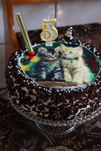 Urodzinowy tort brzoskwiniowy z kotkami