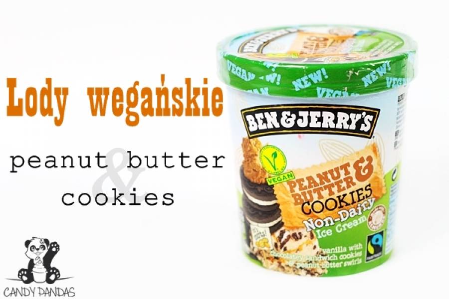 Wegańskie lody peanut butter & cookies - Ben&Jerry’s