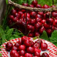 Polskie owoce sezonowe – kiedy i jakie