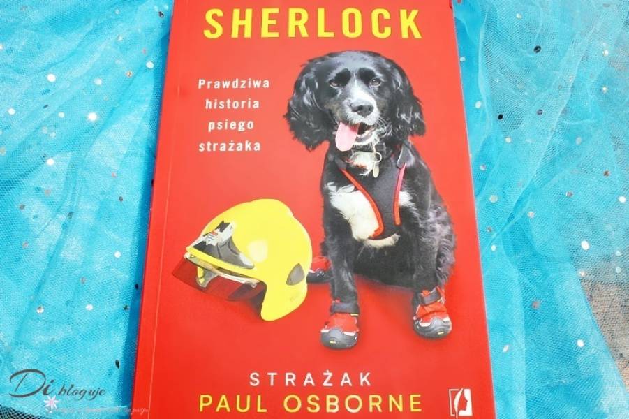 Sherlock. Prawdziwa historia psiego strażaka - recenzja