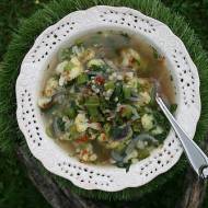 Rozgrzewająca zupa z serela naciowego i kalafiora – dietetyczna i aromatyczna