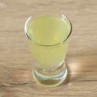 Cytryna i wódka - orzeźwiający shot z likierem cytrynowym