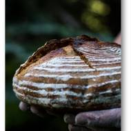 Chleb z Vermont na zakwasie z dodatkiem mąki pszennej razowej pieczony w żeliwnym garnku – World Bread Day 2019 – Światowy Dzień