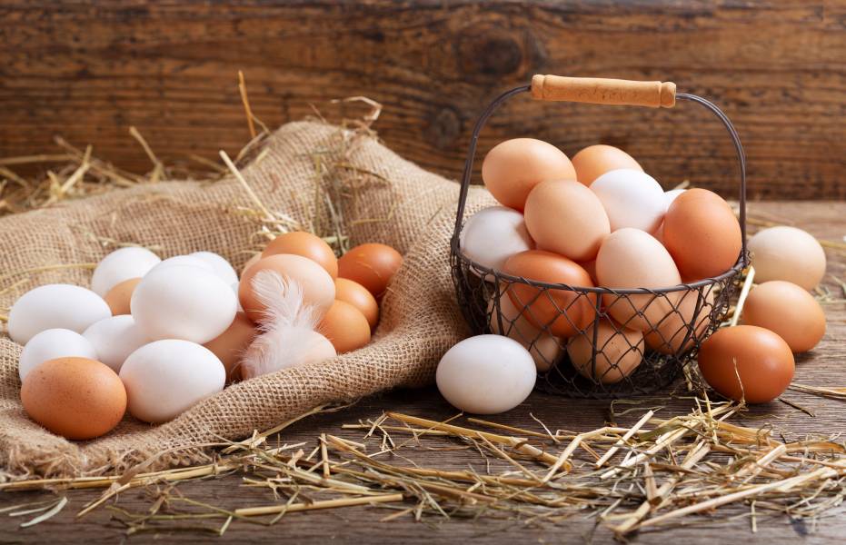 Jajka – co wiesz o nich? Ciekawostki i fakty