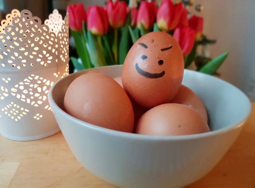 Subiektywny poradnik –  jak ugotować idealne jajko na miękko i królewskie jajka po wiedeńsku