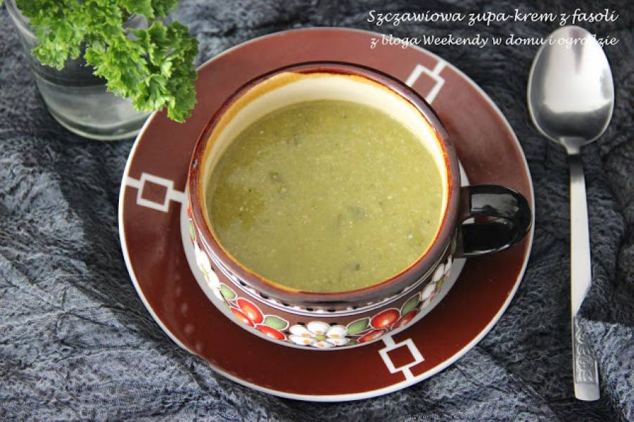 Szczawiowa zupa-krem z fasoli