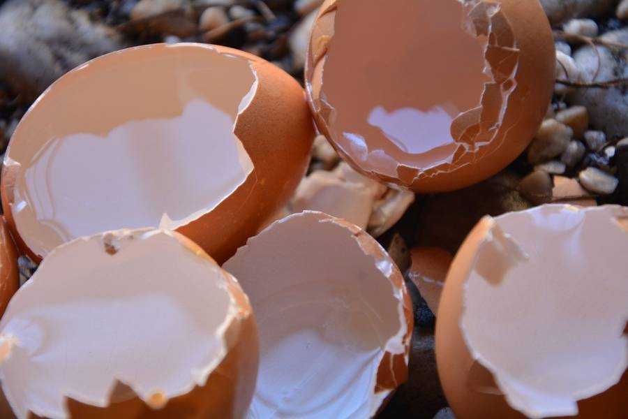 5 rzeczy, do których możesz użyć skorupek po jajkach