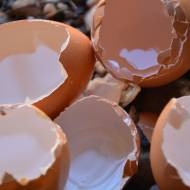 5 rzeczy, do których możesz użyć skorupek po jajkach