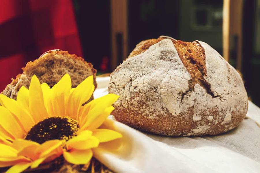 Chlebak – obowiązkowy w kuchni!