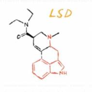 Mikrodawkowanie Grzybów i LSD – Wszystko Co Musisz Wiedzieć