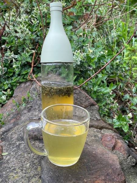 Cold brew tea – czyli herbata parzona zimną wodą