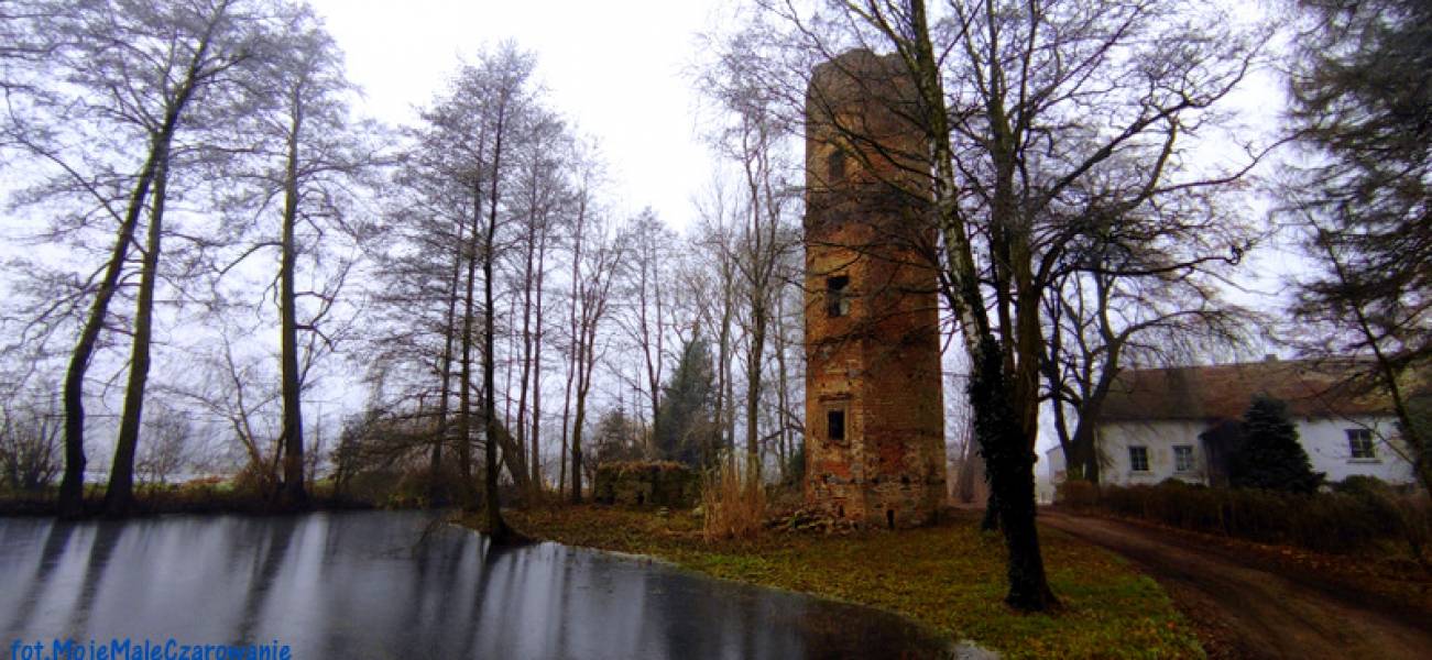 Ruiny zamku w Wyszynie woj. wielkopolskie