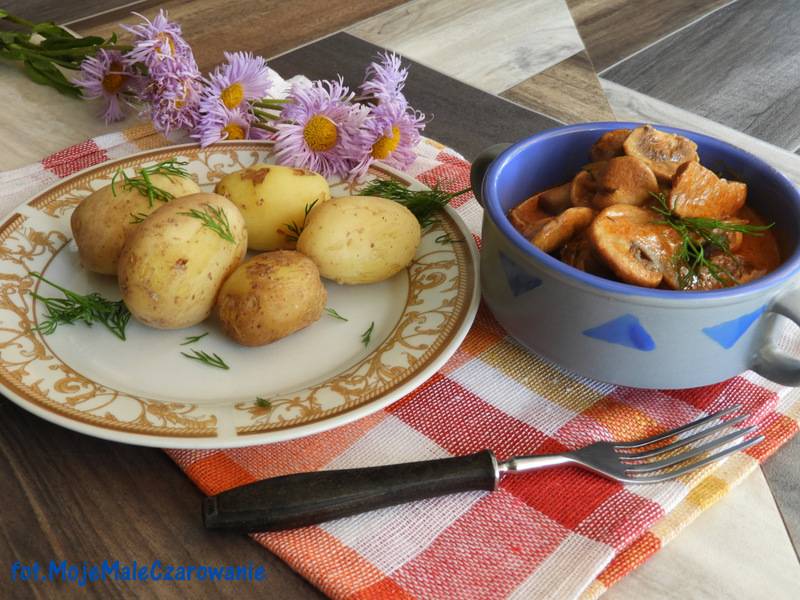 Boeuf Stroganow wg Ani Starmach