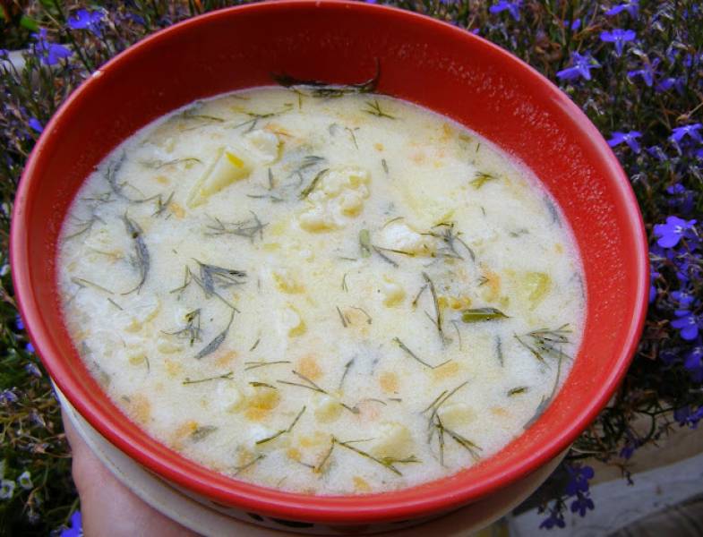 pyszna koperkowo-kalafiorowa zupa na maśle i mleku...